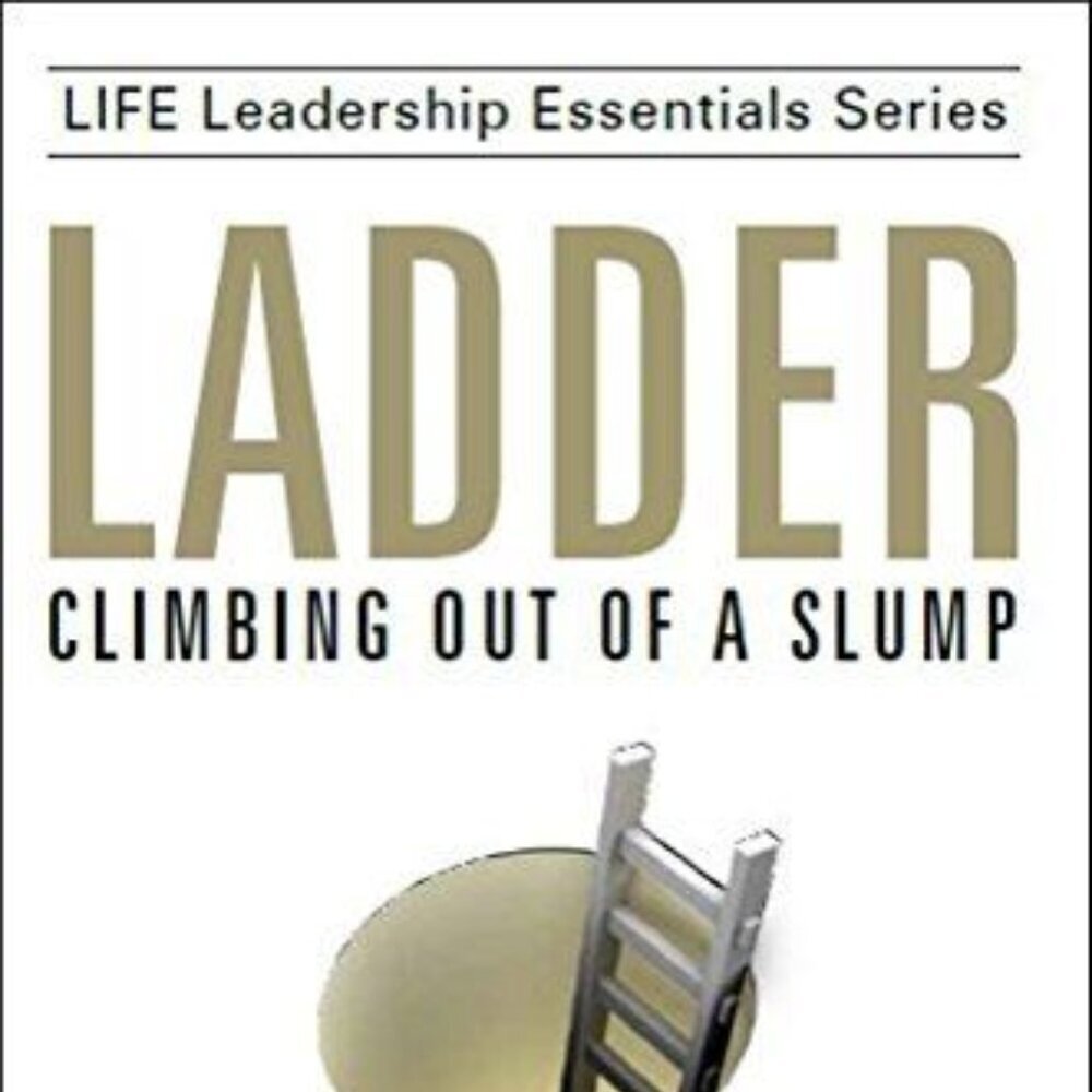 Ladder: Climbing Out of a Slump Dan Hawkins Paperback Life Leadership
